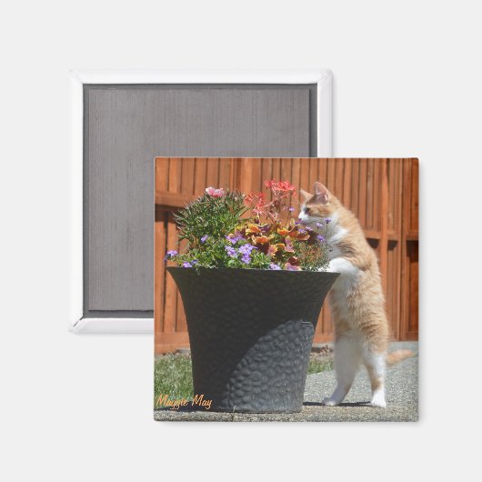 Maggie May & Bloemen Magneet (Voorkant / Achterkant)