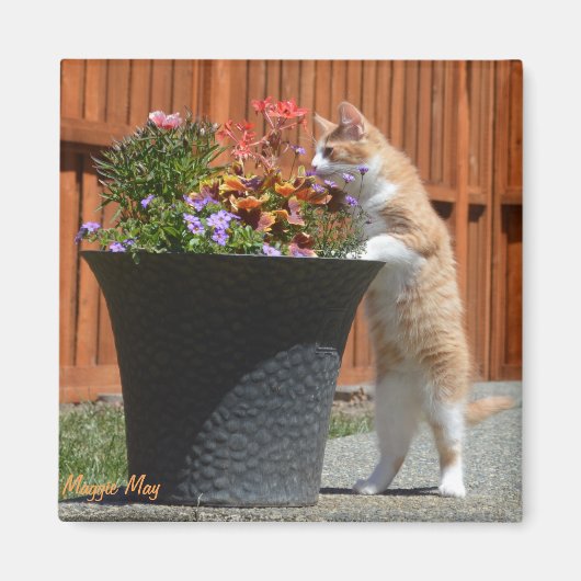 Maggie May & Bloemen Magneet (Voorkant)