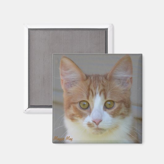 Maggie May Magnet (Voorkant / Achterkant)