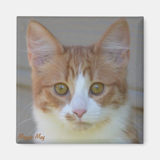 Maggie May Magnet (Voorkant)