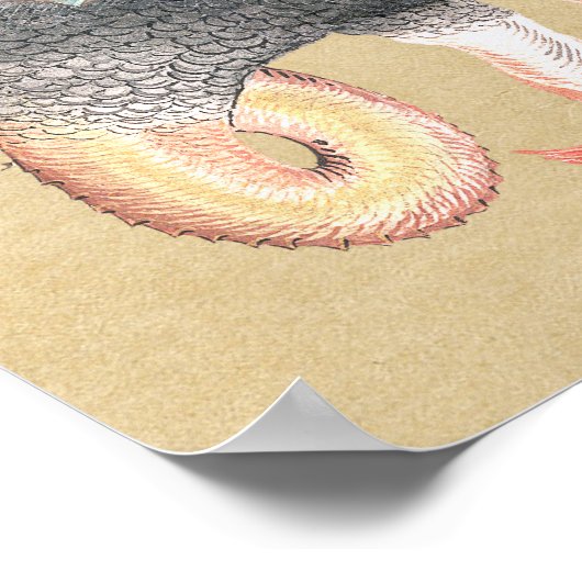 Magic Alchemy Dragon Color Poster (Hoek)