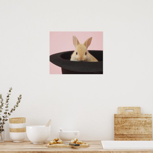 Magic Bunny Poster (Keuken)