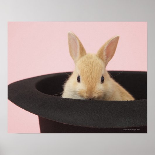 Magic Bunny Poster (Voorkant)
