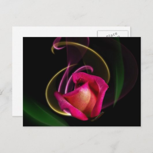 Magic Carousel Rose Postcards Briefkaart (Voorkant / Achterkant)