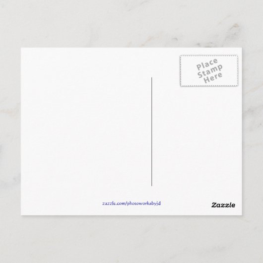 Magic Carousel Rose Postcards Briefkaart (Achterkant)