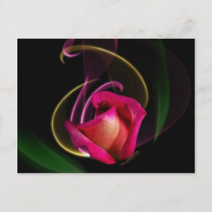 Magic Carousel Rose Postcards Briefkaart