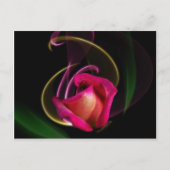 Magic Carousel Rose Postcards Briefkaart (Voorkant)