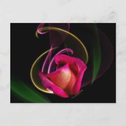 Magic Carousel Rose Postcards Briefkaart (Voorkant)