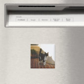 Magic Cat - Gepersonaliseerd Magneet (Insitu (Vaatwasser))