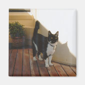 Magic Cat - Gepersonaliseerd Magneet (Voorkant)