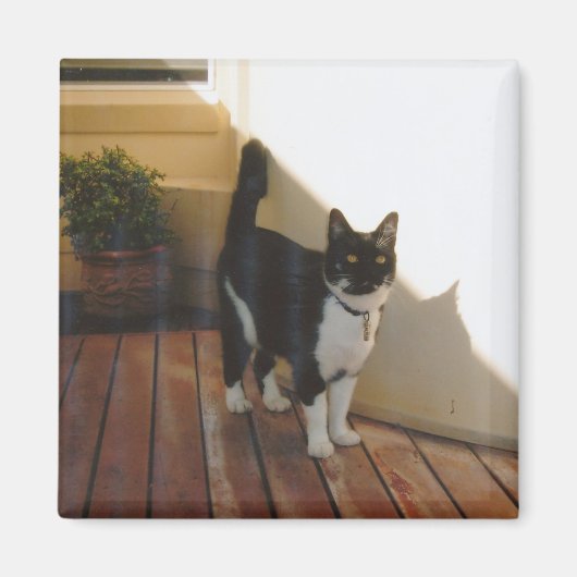 Magic Cat - Gepersonaliseerd Magneet (Voorkant)