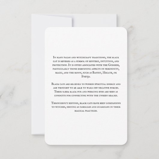 Magic Cat Informatie Kaart (Achterkant)