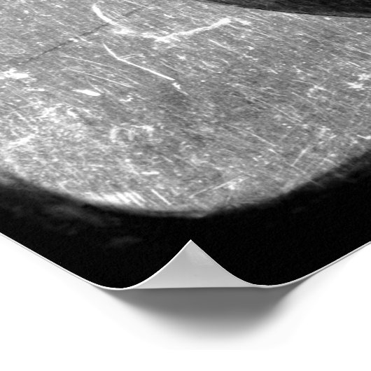 Magic Crow Poster (Hoek)