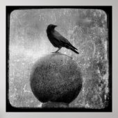 Magic Crow Poster (Voorkant)