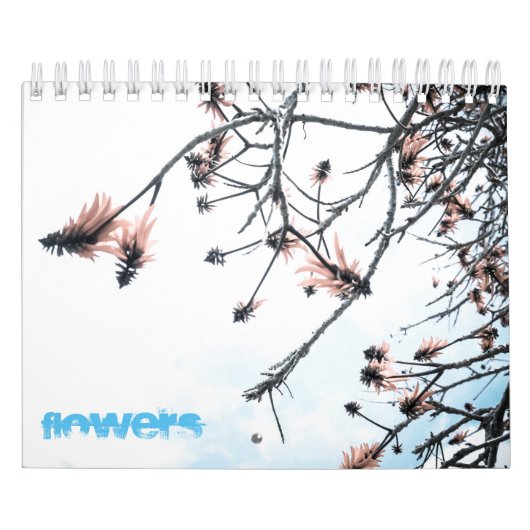 Magic Flowers Kalender (Hoes)