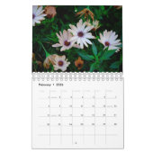 Magic Flowers Kalender (Feb 2026)