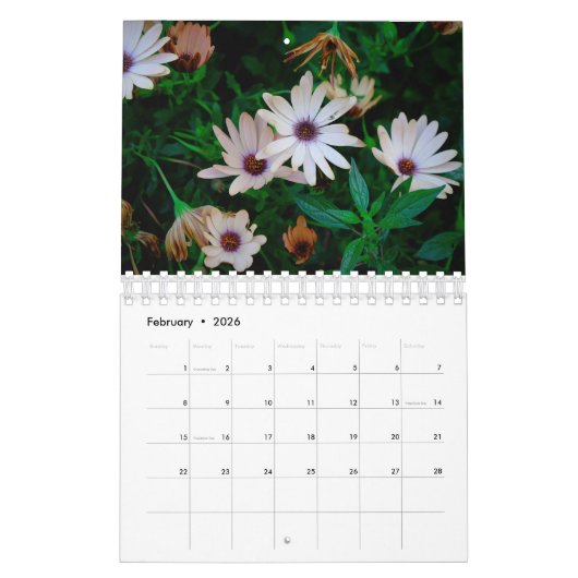 Magic Flowers Kalender (Feb 2026)