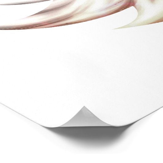 Magic Fox - Wit Poster (Hoek)