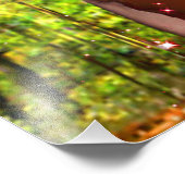 Magic Garden Foto Afdruk (Hoek)