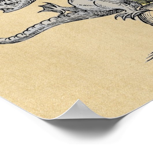 Magic Gold en Silver Dragons Poster (Hoek)