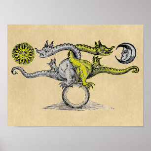 Magic Gold en Silver Dragons Poster
