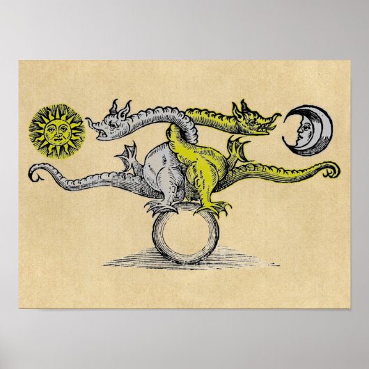 Magic Gold en Silver Dragons Poster (Voorkant)
