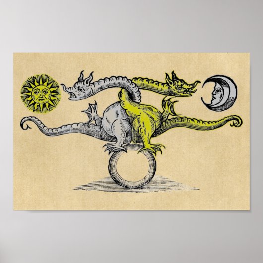 Magic Gold en Silver Dragons Poster (Voorkant)