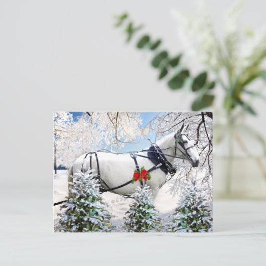 "Magic in Harness" Briefkaart (Staand voorkant)