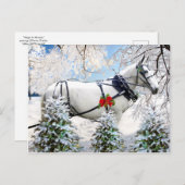 "Magic in Harness" Briefkaart (Voorkant / Achterkant)