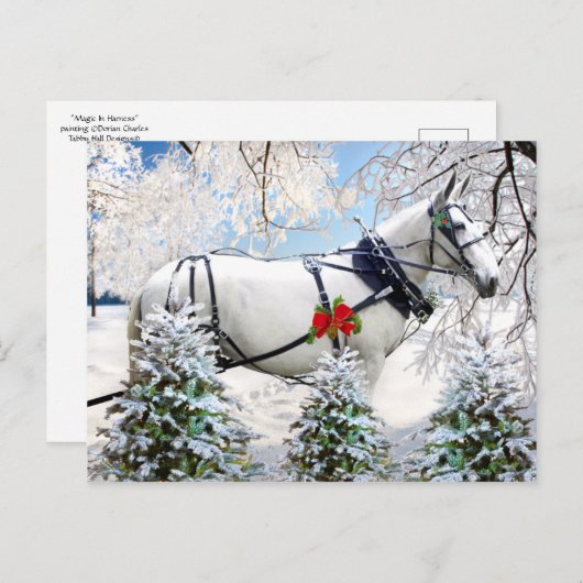 "Magic in Harness" Briefkaart (Voorkant / Achterkant)