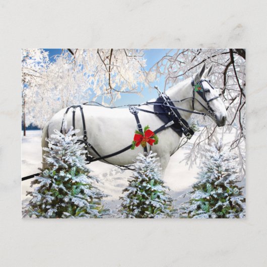 "Magic in Harness" Briefkaart (Voorkant)