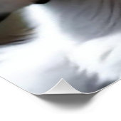 Magic Kat Perfect Poster (Hoek)