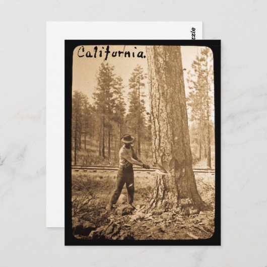 Magic Lantern Logging in the Butte Valley, CA Briefkaart (Voorkant / Achterkant)