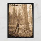 Magic Lantern Logging in the Butte Valley, CA Briefkaart (Voorkant)