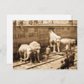 Magic Lantern Slide Ringling Bros Elephant Train Briefkaart (Voorkant / Achterkant)