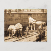 Magic Lantern Slide Ringling Bros Elephant Train Briefkaart (Voorkant)