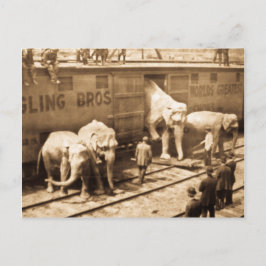 Magic Lantern Slide Ringling Bros Elephant Train Briefkaart