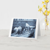 Magic Lantern Slide Ringling Bros Elephant Train Kaart (Gele Bloem)