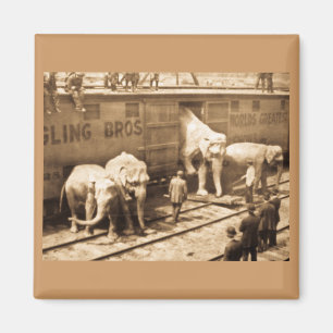 Magic Lantern Slide Ringling Bros Elephant Train Magneet