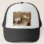 Magic Lantern Slide Ringling Bros Elephant Train Trucker Pet (Voorkant)