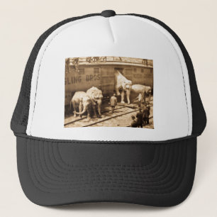 Magic Lantern Slide Ringling Bros Elephant Train Trucker Pet