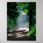 Magic Morning Light op Forest Trail Poster (Voorkant)