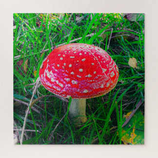 Magic Mushroom Fungi Red Natuur Schilderachtig bui Legpuzzel