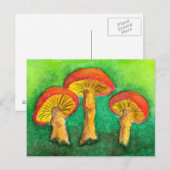 Magic Mushroom Trio Briefkaart (Voorkant / Achterkant)