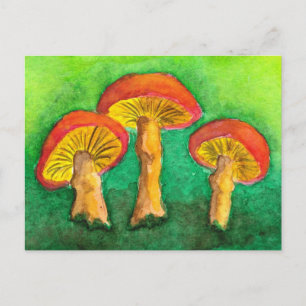 Magic Mushroom Trio Briefkaart