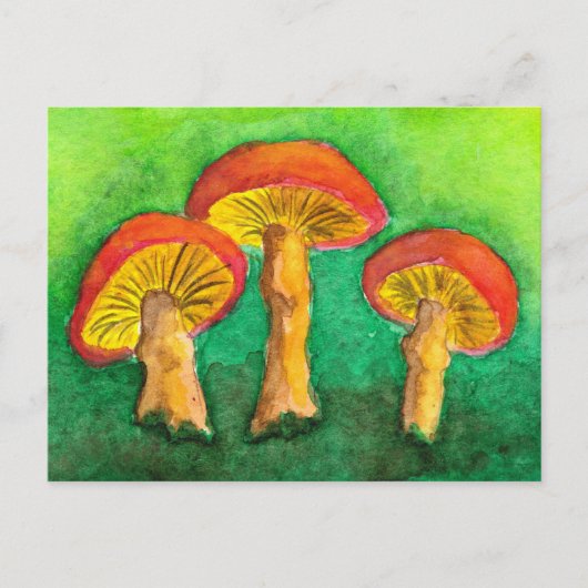 Magic Mushroom Trio Briefkaart (Voorkant)