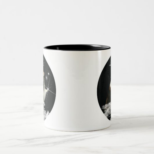 Magic of Shelties Mok (Center)