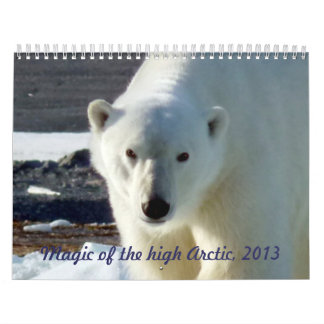 Magic of the High Arctic, 2013 Kalender