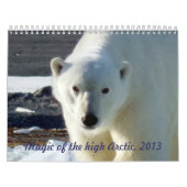 Magic of the High Arctic, 2013 Kalender (Hoes)