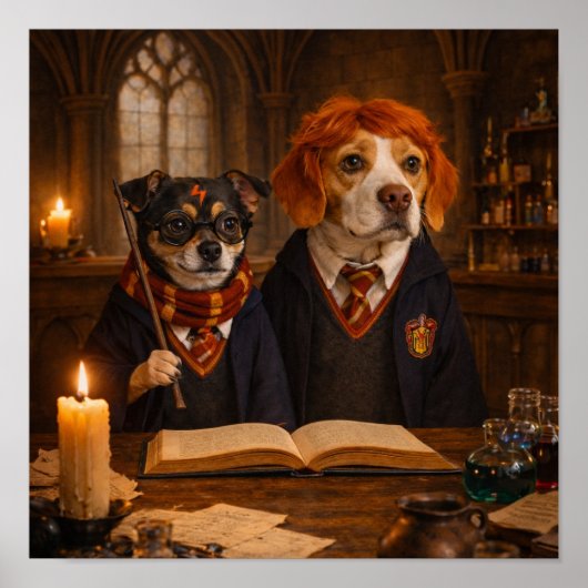 "Magic Research" Poster (Voorkant)